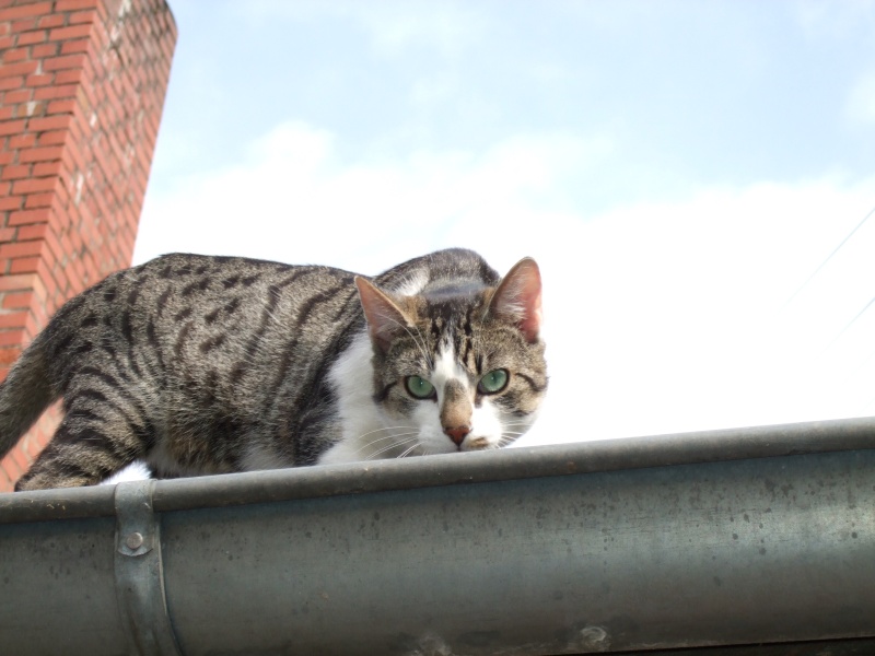 Ostern 2007 Orleshausen 013 